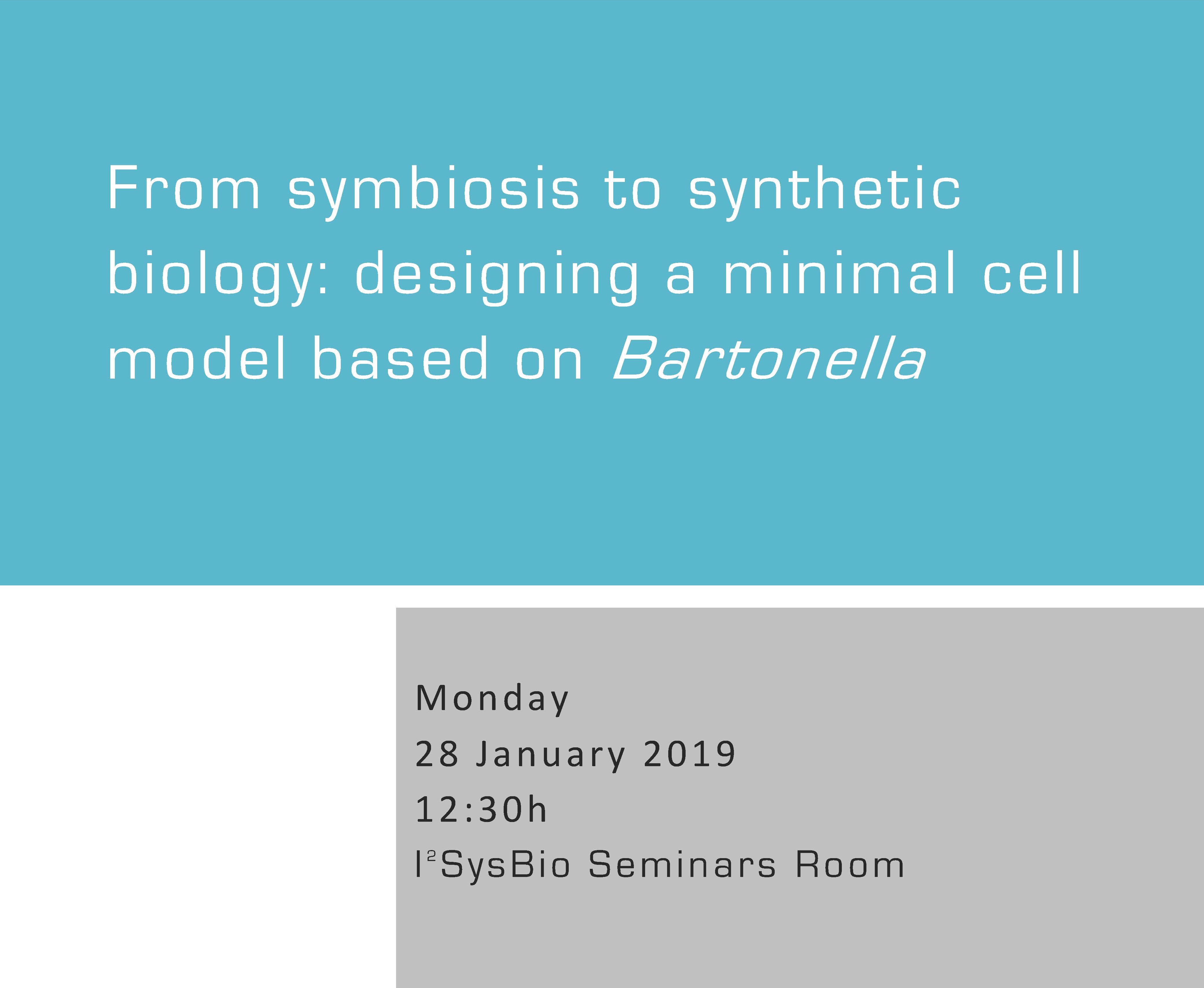 From symbiosis to synthetic biology: designing a minimal cell model based on Bartonella